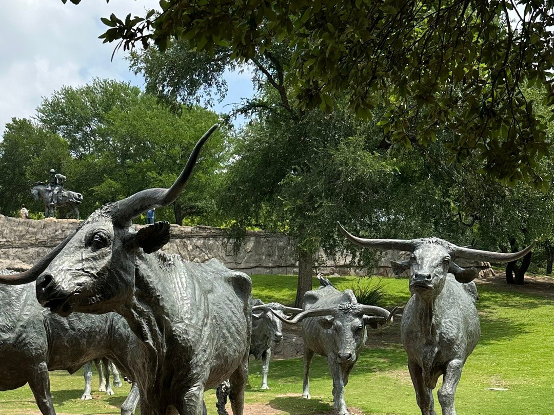 Dallas Cattle Drive Sculptures-达拉斯必去景点