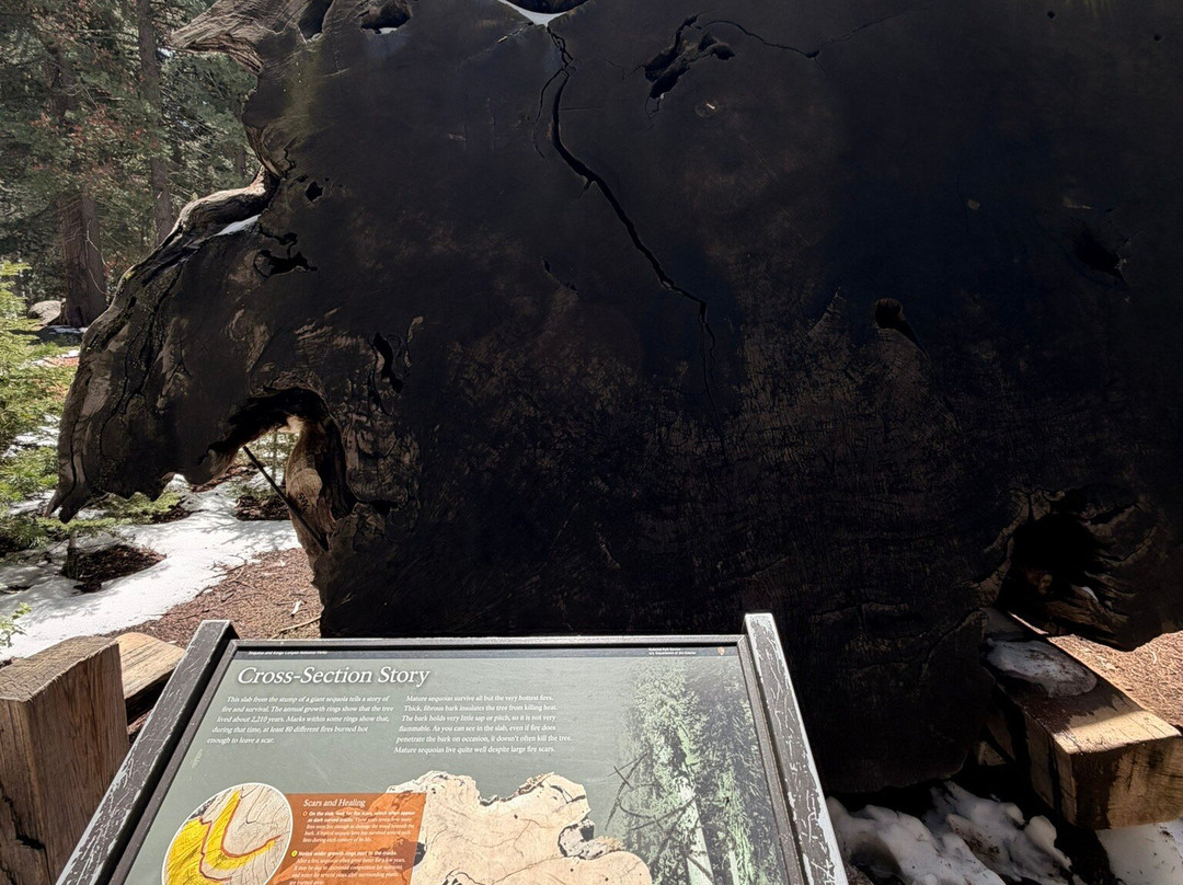 Sequoia and Kings Canyon National Parks-Three Rivers必去景点