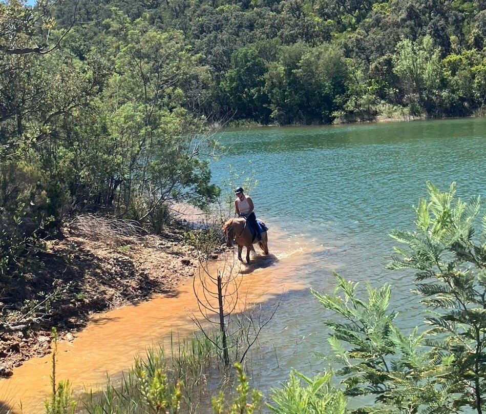 Aventure cheval. Randonnées à cheval-La Crau必去景点