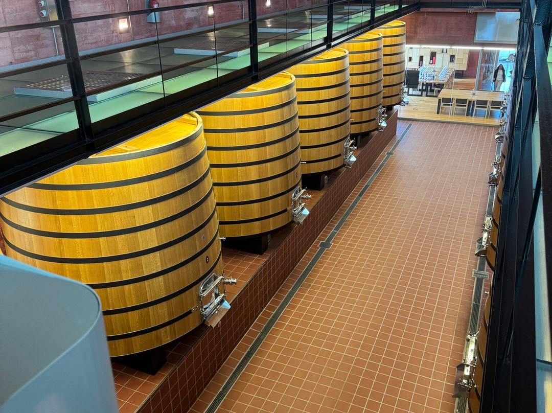 Pago de Carraovejas Winery-Penafiel必去景点