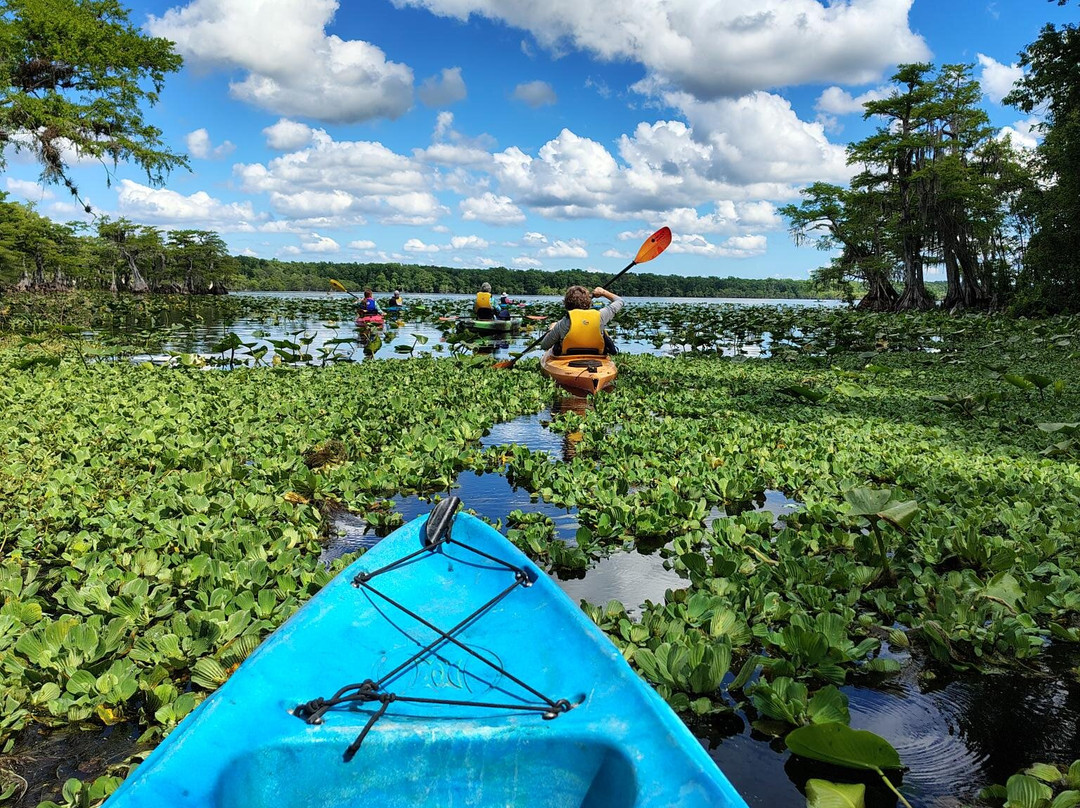 Lake Norris Conservation Area-Eustis必去景点
