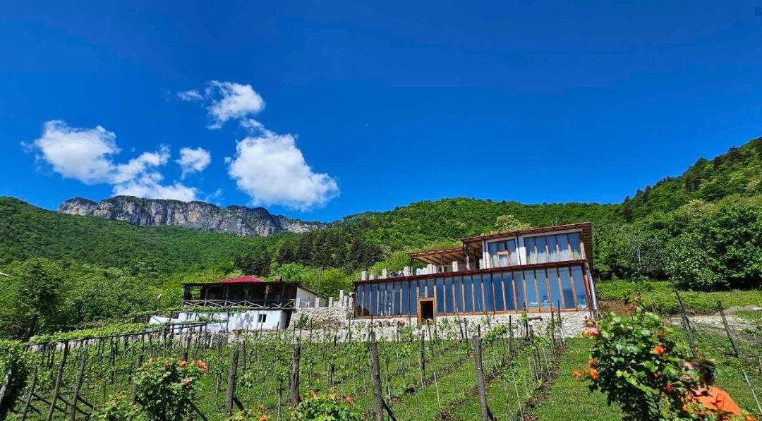 Korenishuli Veranda Wine Hotel 45 km from Tsageri