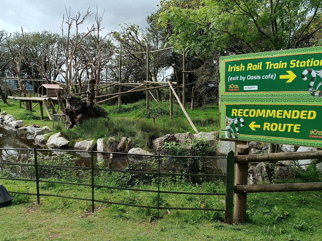 Fota Wildlife Park-Carrigtwohill必去景点