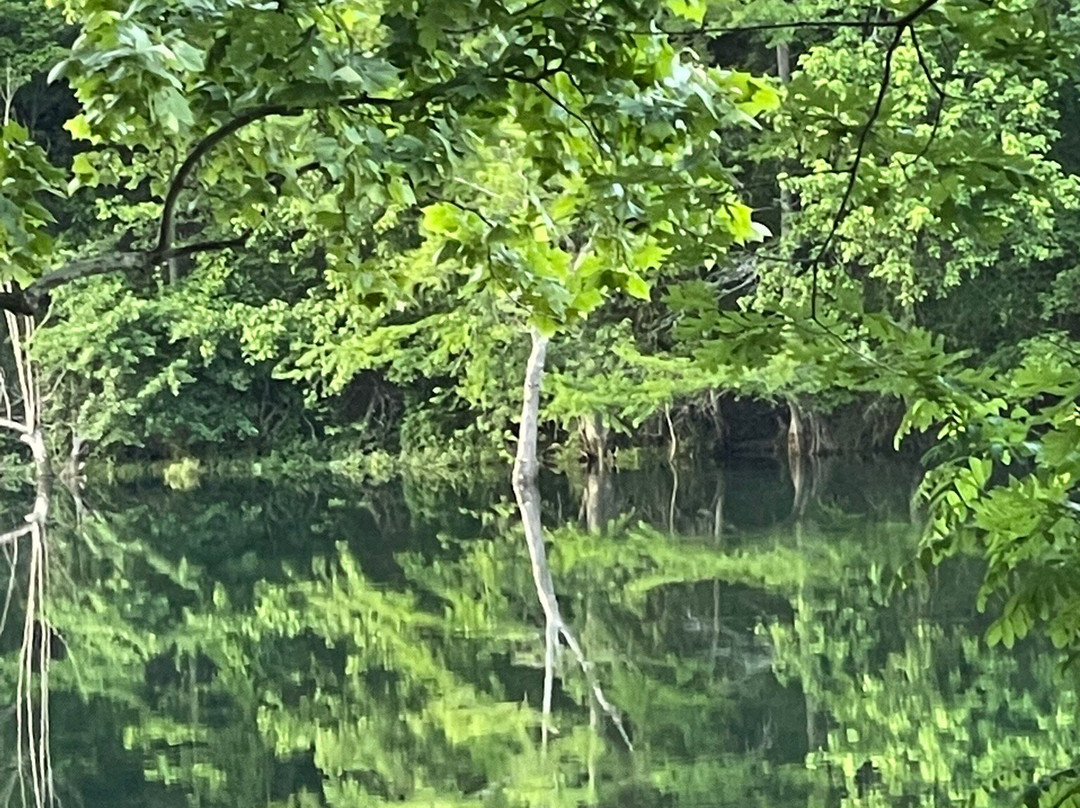 Beavers Bend State Park and Nature Center-Broken Bow必去景点