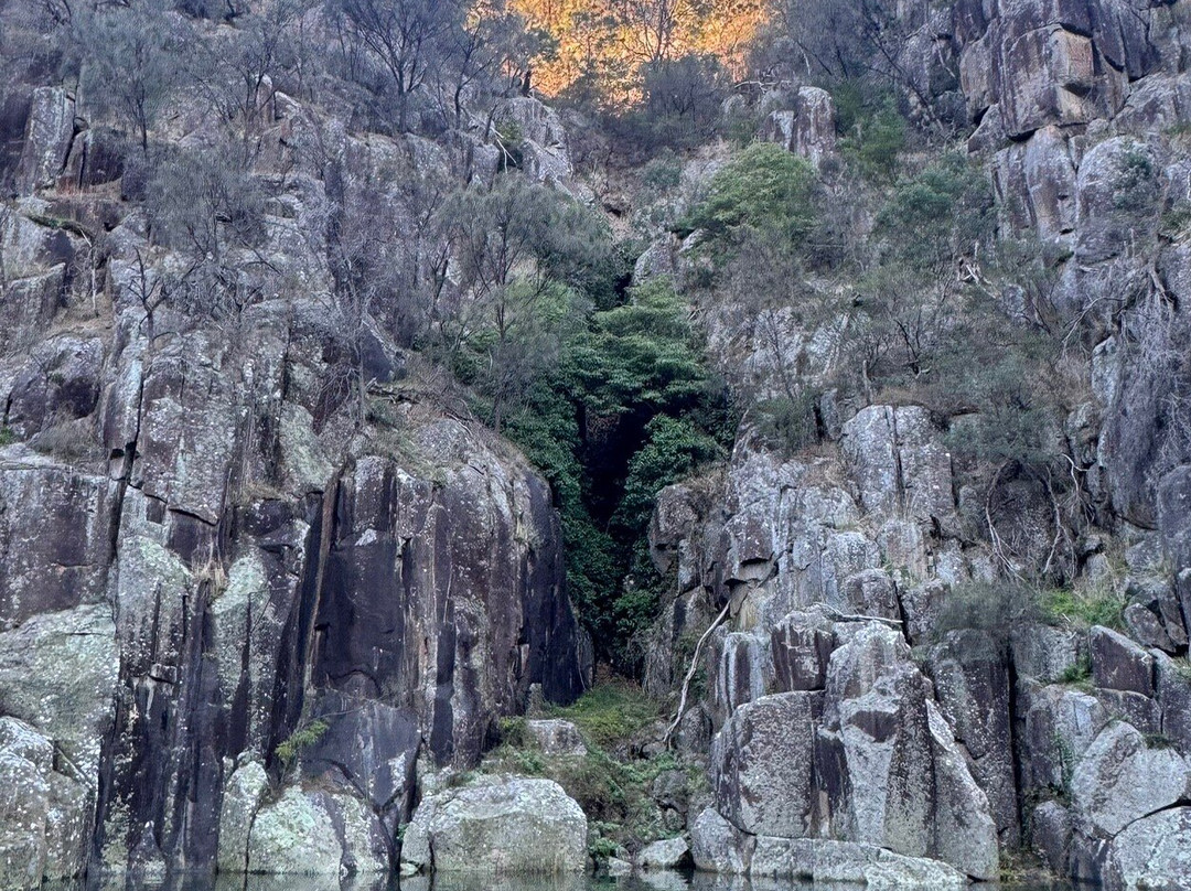 蜻蜓旅馆主图