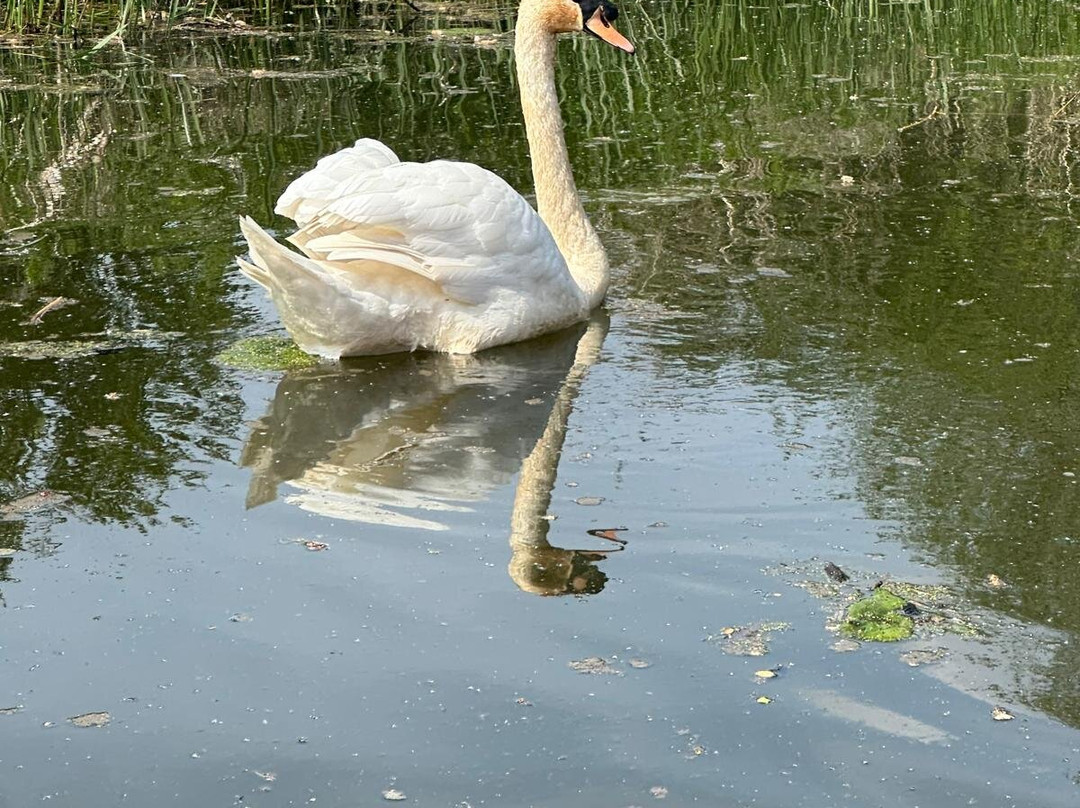 Grantham Canal Three Shires Boat Trips-Woolsthorpe by Belvoir必去景点