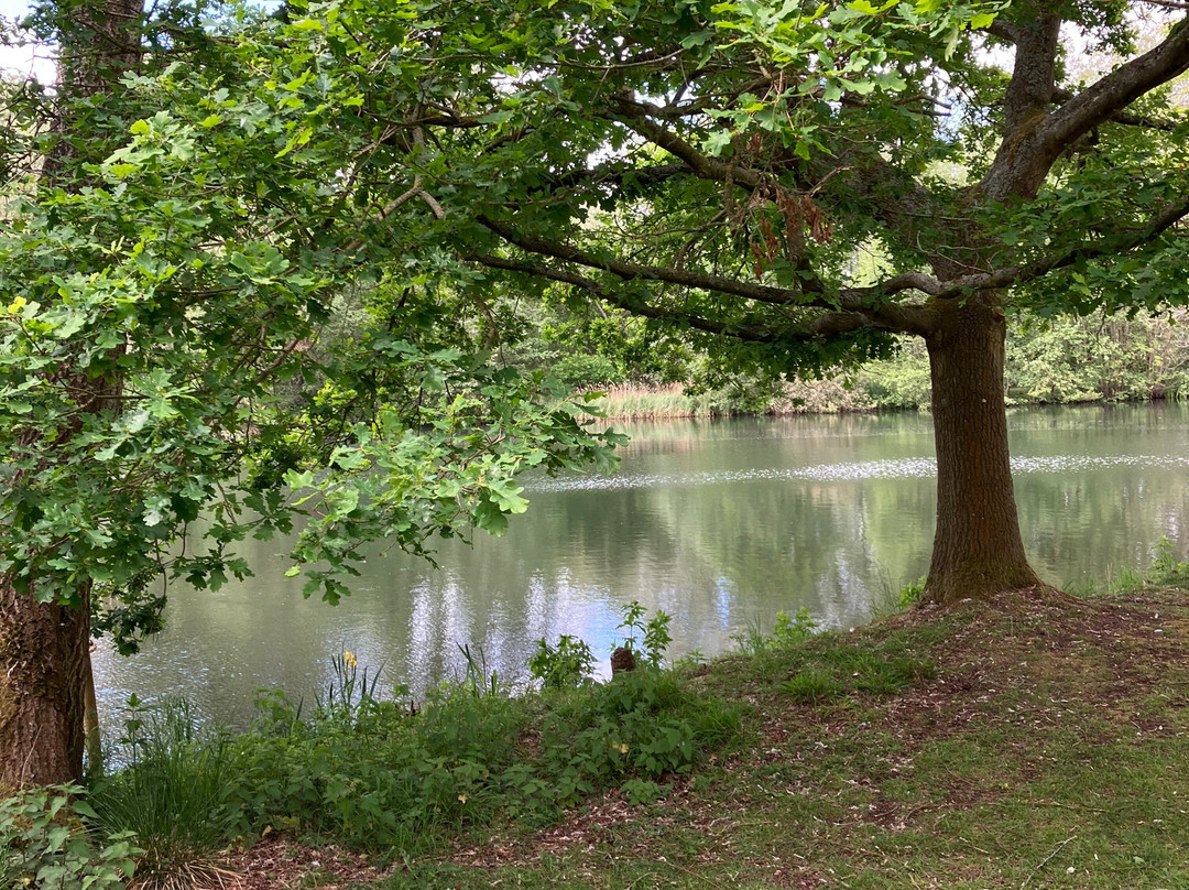 Fullers Mill Garden-West Stow必去景点