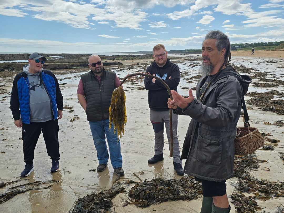 East Neuk Seaweed-St Monans必去景点