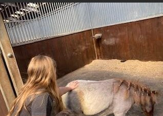 World Horse Welfare Penny Farm-黑潭必去景点