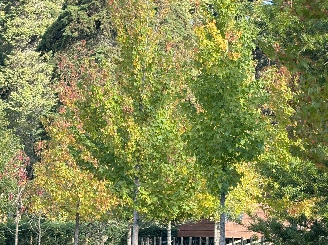 Parque da Lagoinha