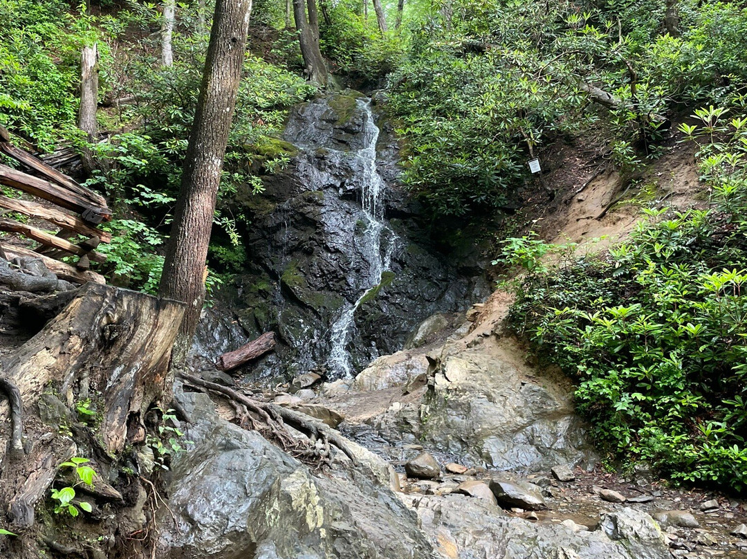Cataract Falls-大雾山国家公园必去景点