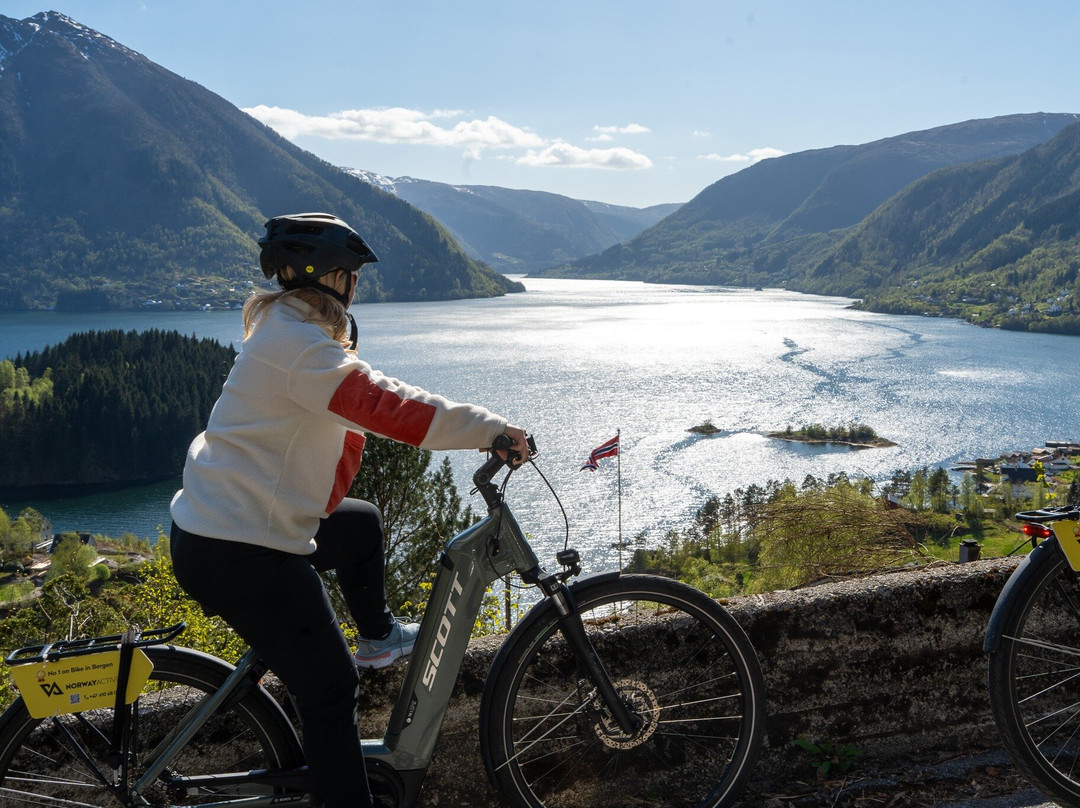Osterøy E-Bike Tour, Seaside Lunch & RIB return to Bergen