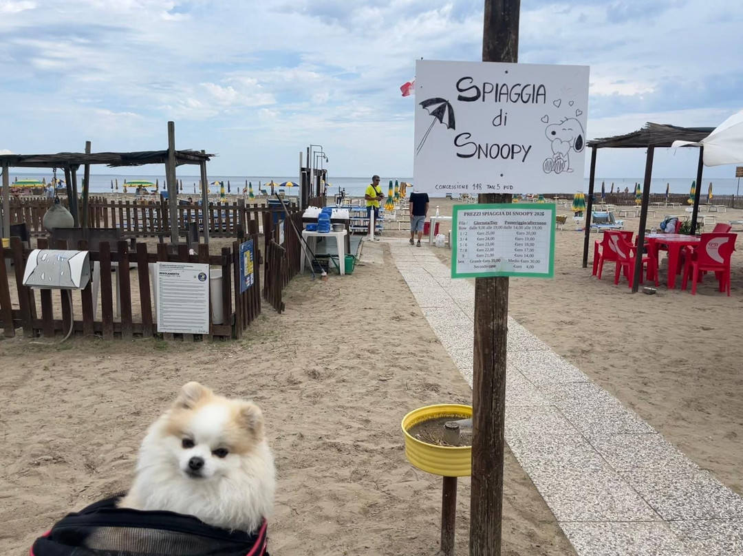 La Spiaggia di Snoopy-Grado Pineta必去景点