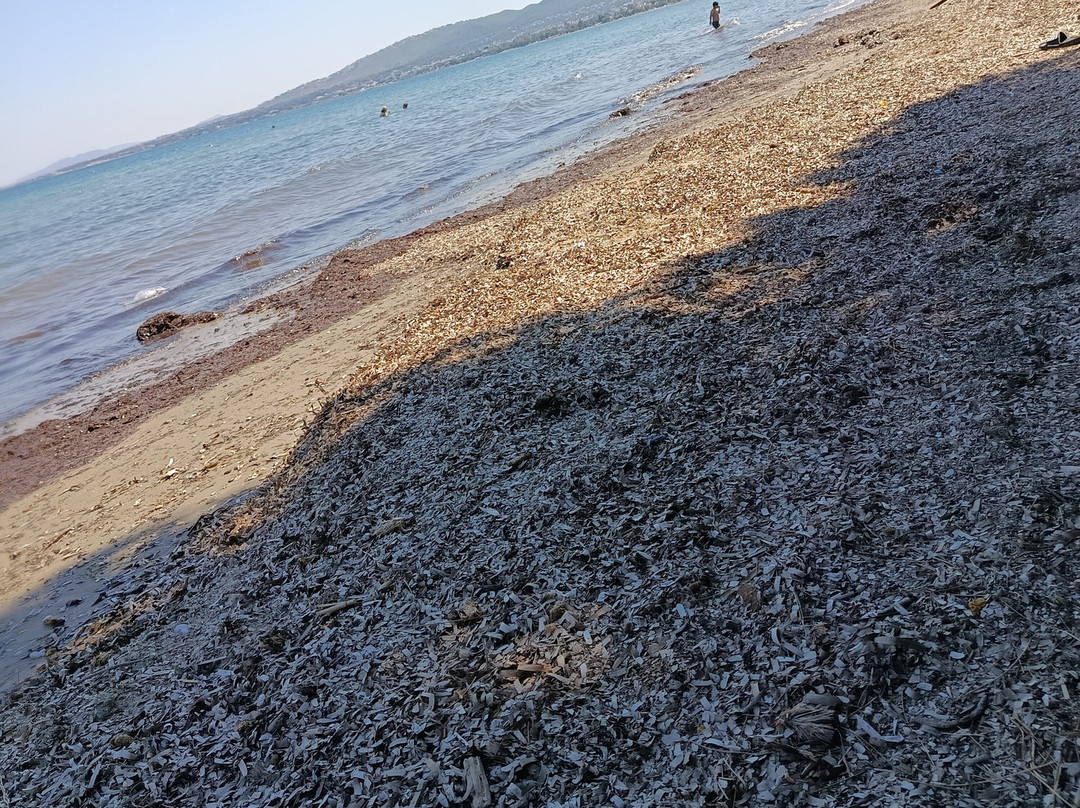 Paralía Marathóna