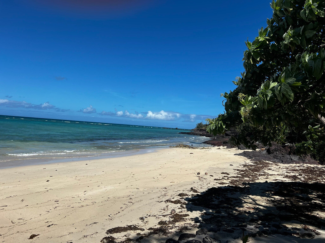 Turtle Island Fiji主图