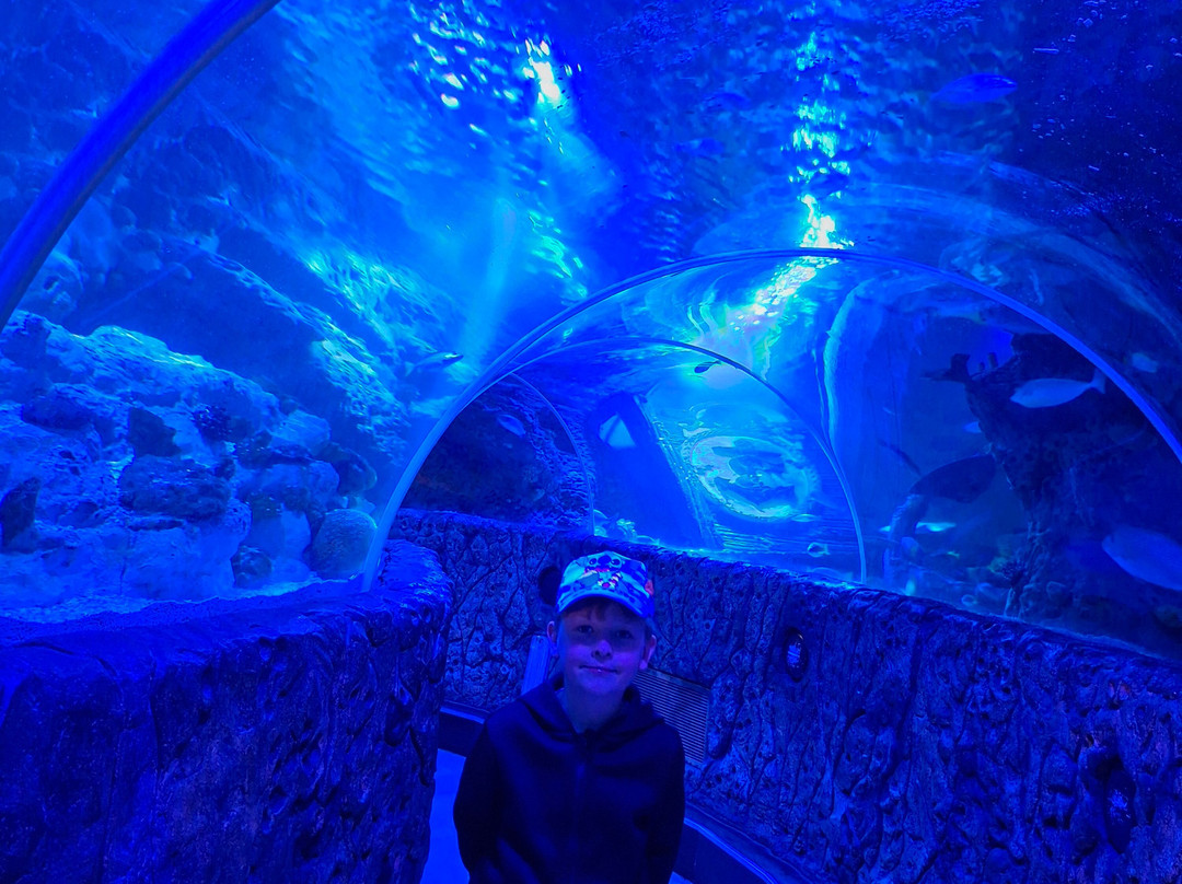 Sea Life Blankenberge-布朗肯堡必去景点