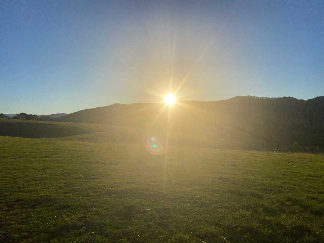 Gloucester River Wines