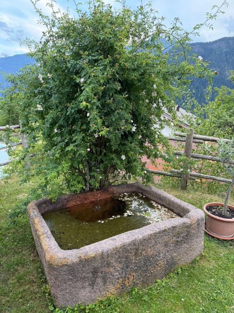 Hotel Überbacher-旅行者