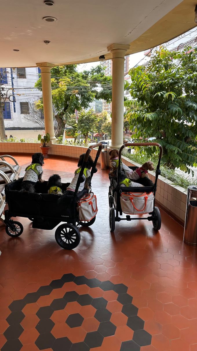Hotel Negreiros-旅行者