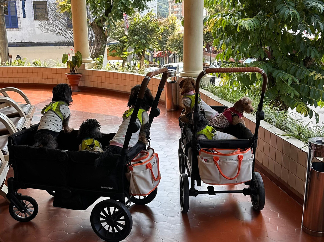 Hotel Negreiros主图