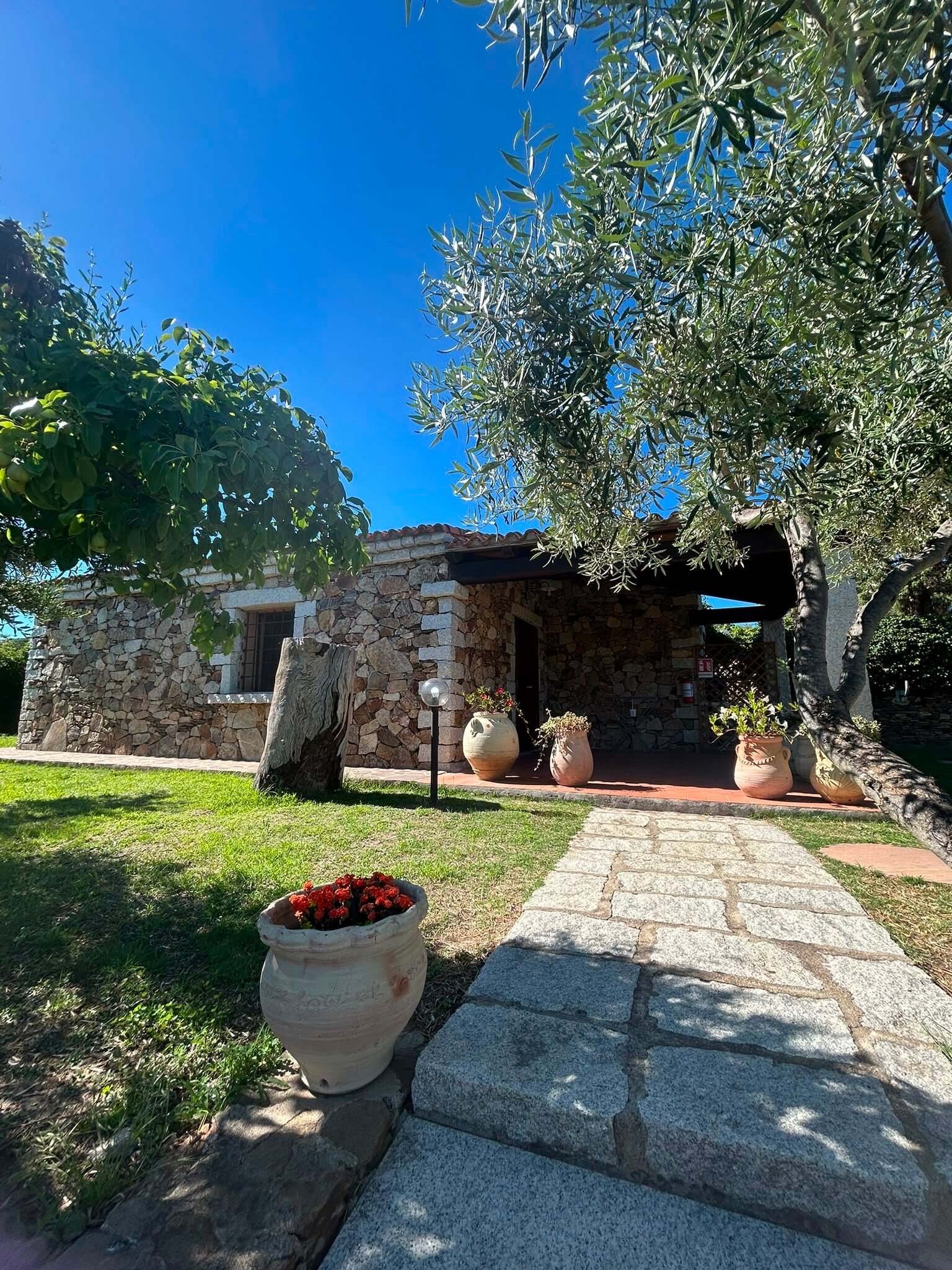 B&B Pettirosso-旅行者