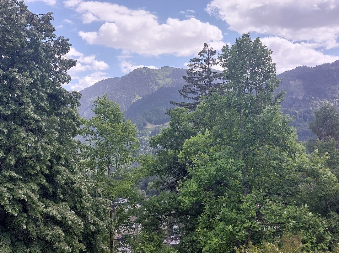 Jardin alpin La Jaÿsinia-Samoens必去景点