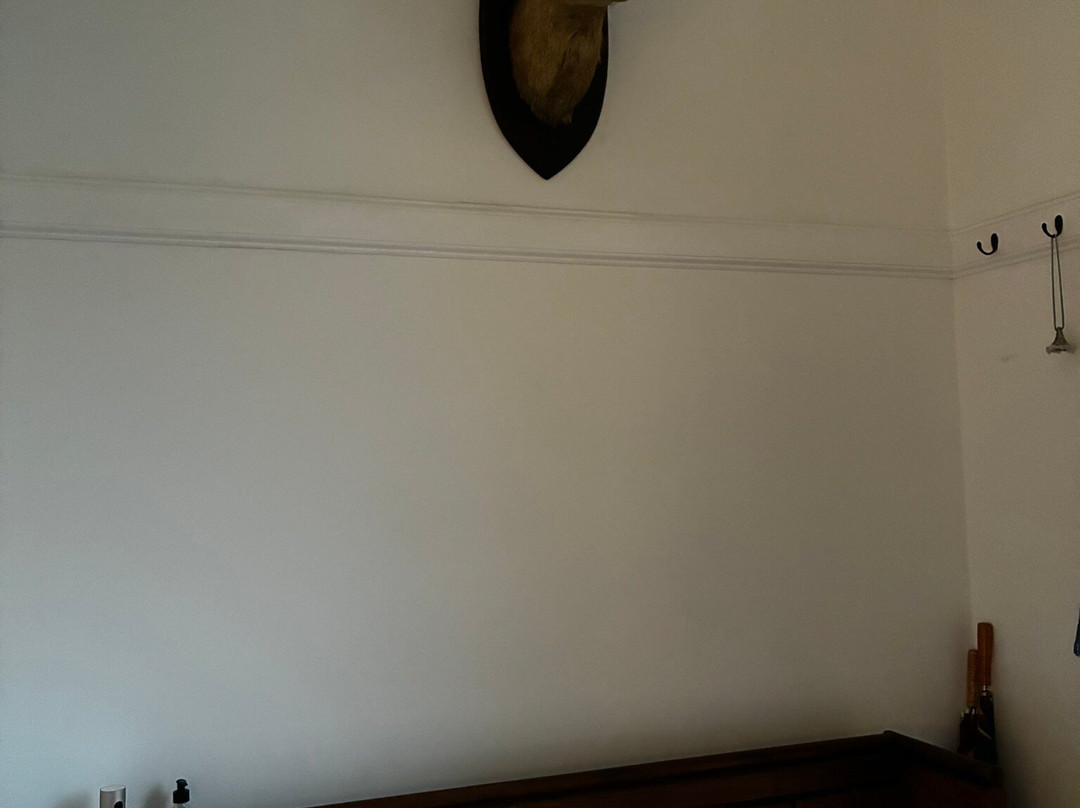 Strongarbh House主图