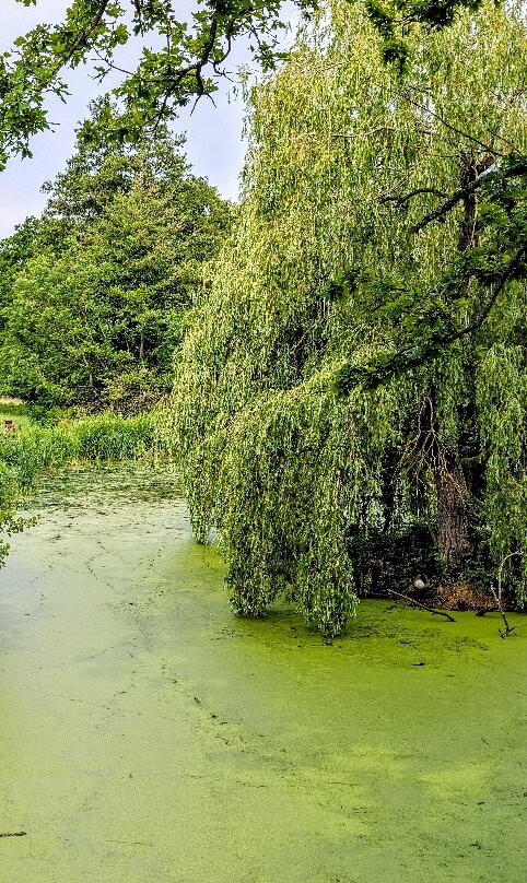 Holywells Park-伊普斯威奇必去景点