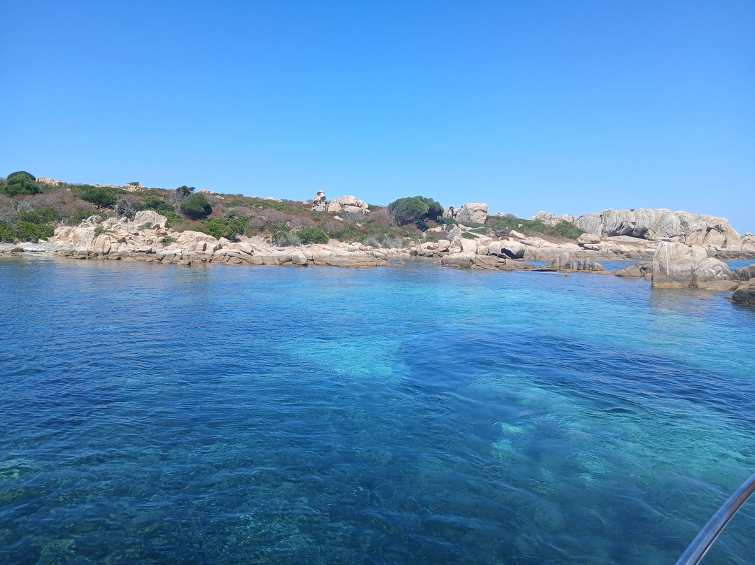 Amato Escursioni Nautiche di Daniele Amato-Asinara必去景点