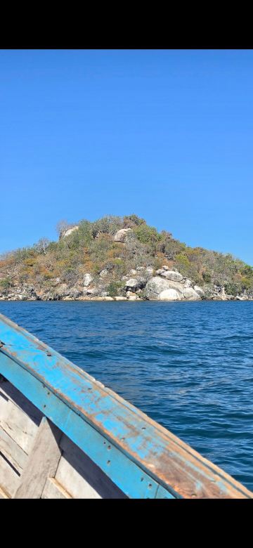 阳鸟海滨-旅行者