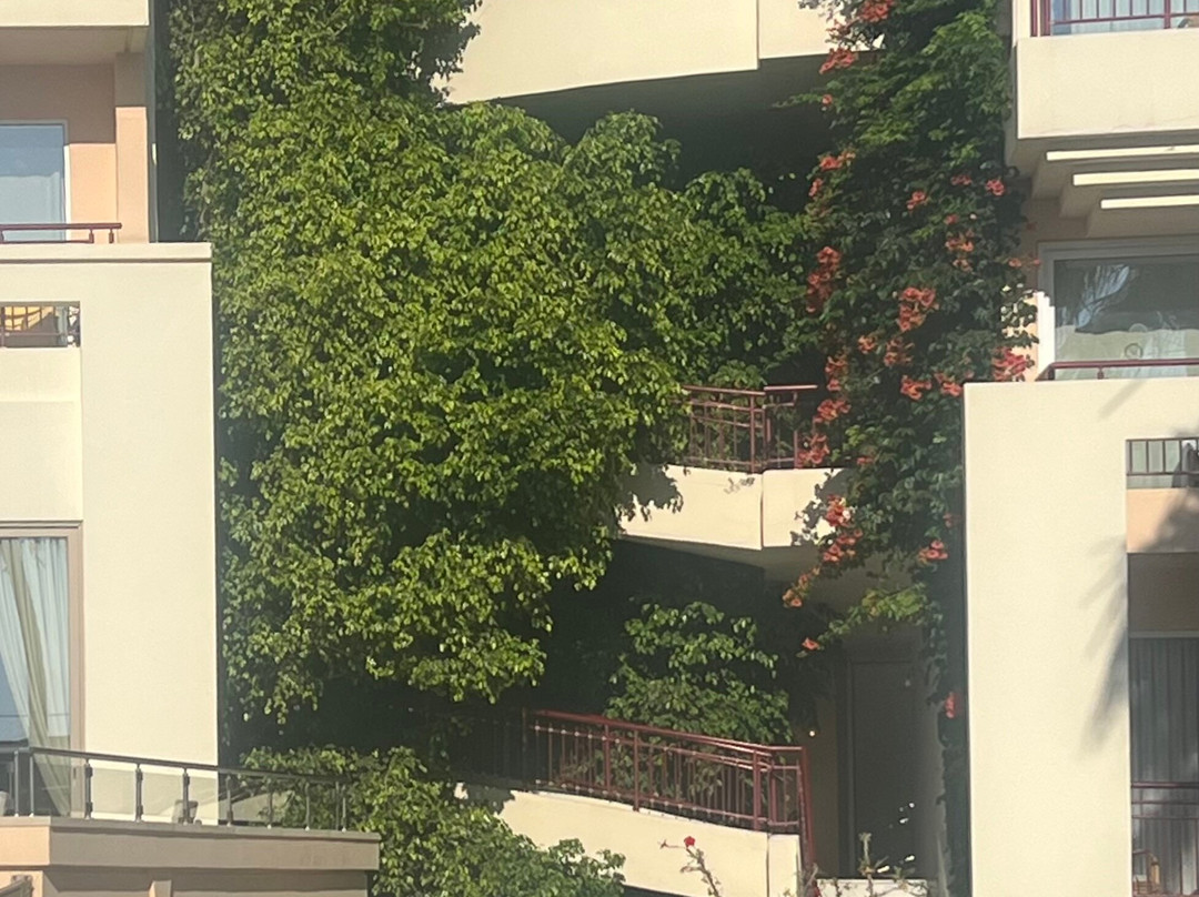 雷赛姆诺皇宫酒店主图