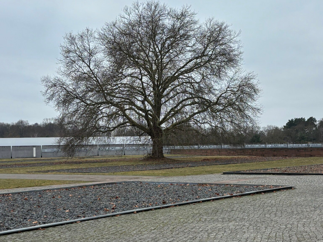 Gedenkstätte und Museum Sachsenhausen-奥拉宁堡必去景点