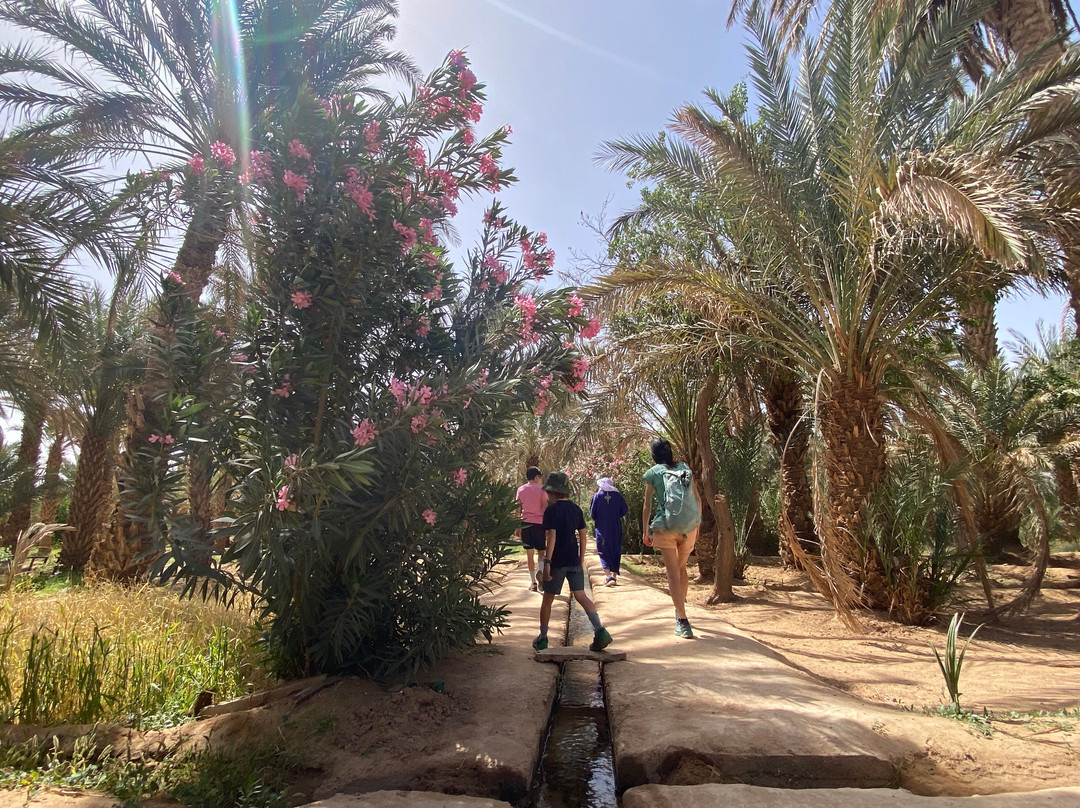Morocco Guided Travel-非斯必去景点