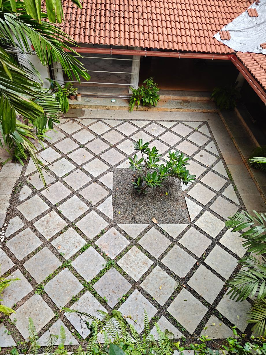 Capella Forest Retreat & Homestay-旅行者