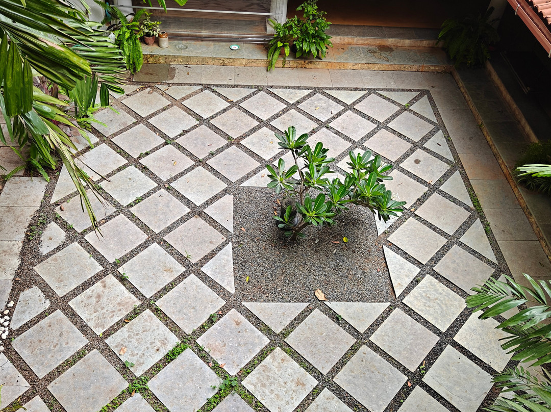 Capella Forest Retreat & Homestay主图