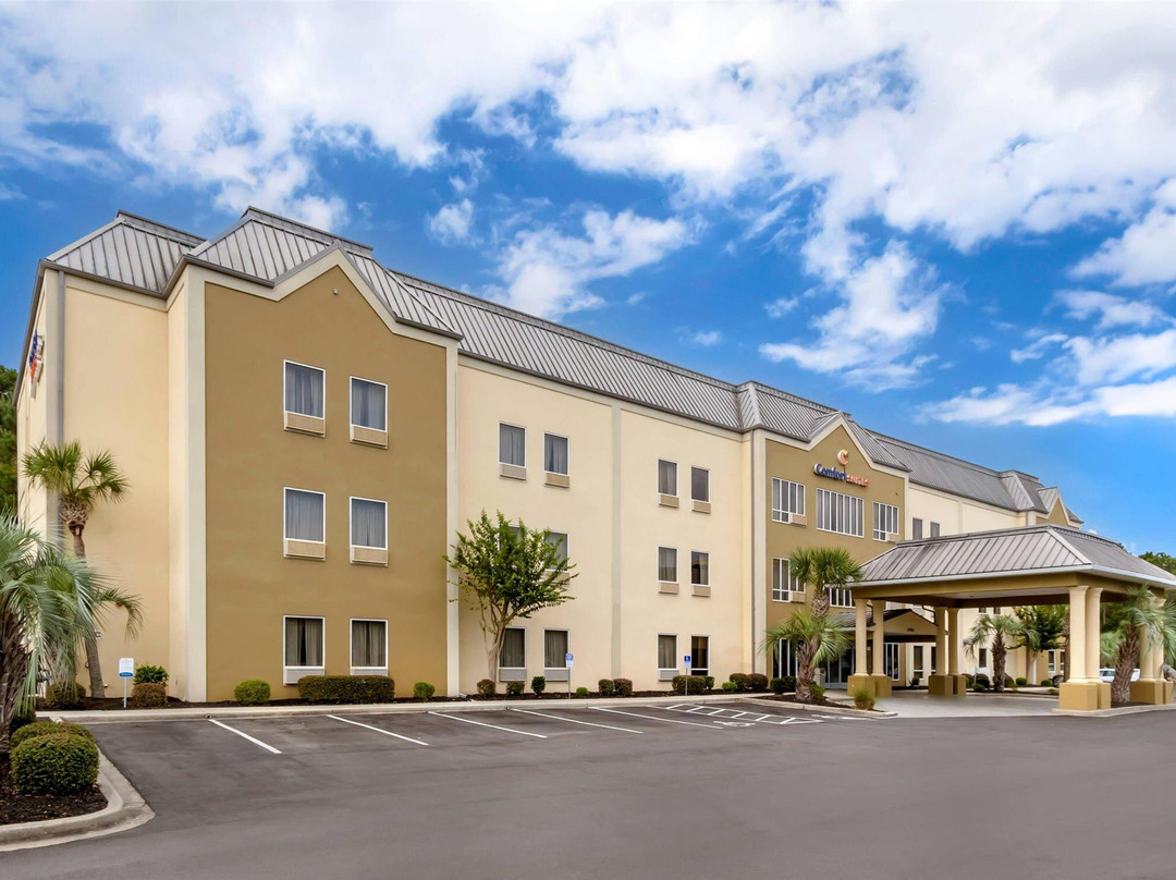 Aynor酒店住宿-Comfort Suites At the University