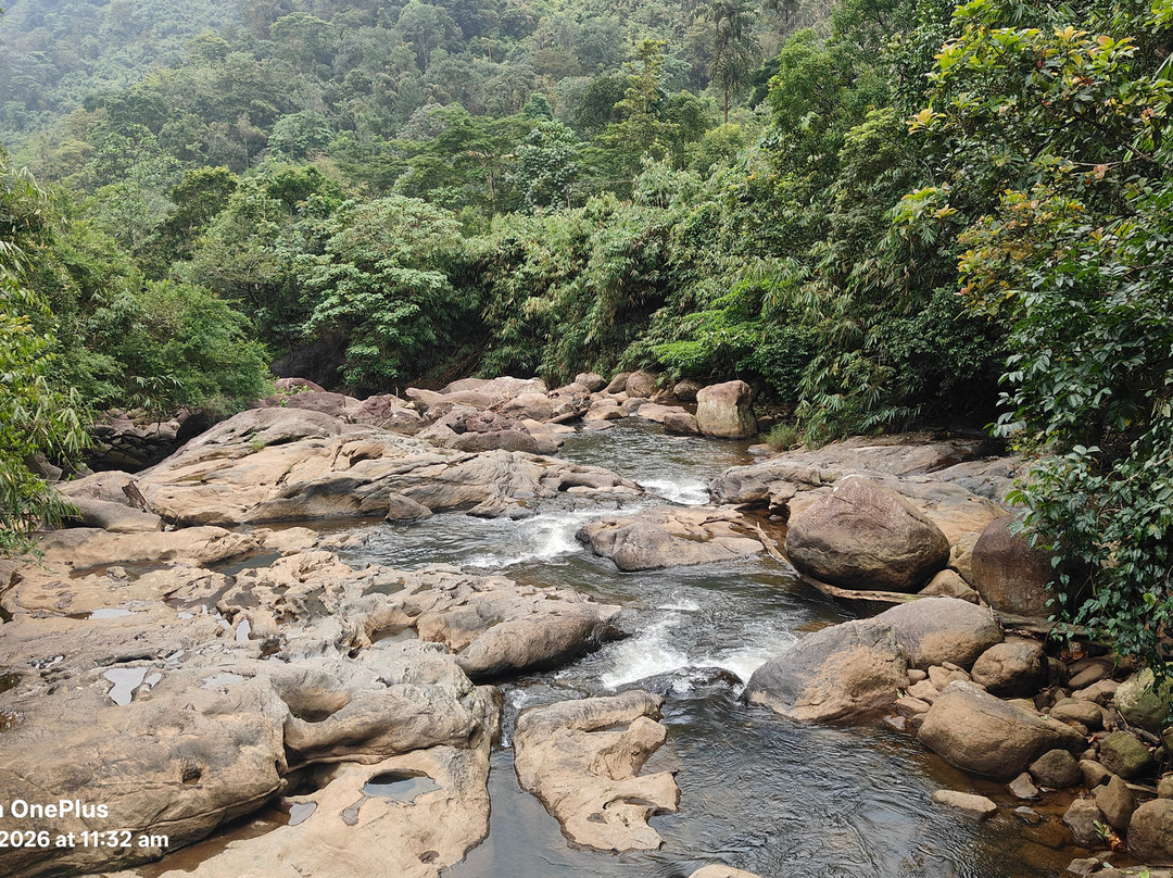 Munnar Taxi Sevice-慕那尔必去景点