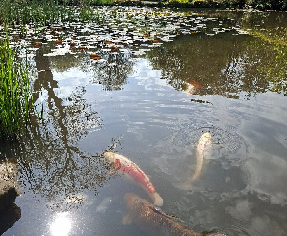 Ness Botanic Gardens-Ness必去景点