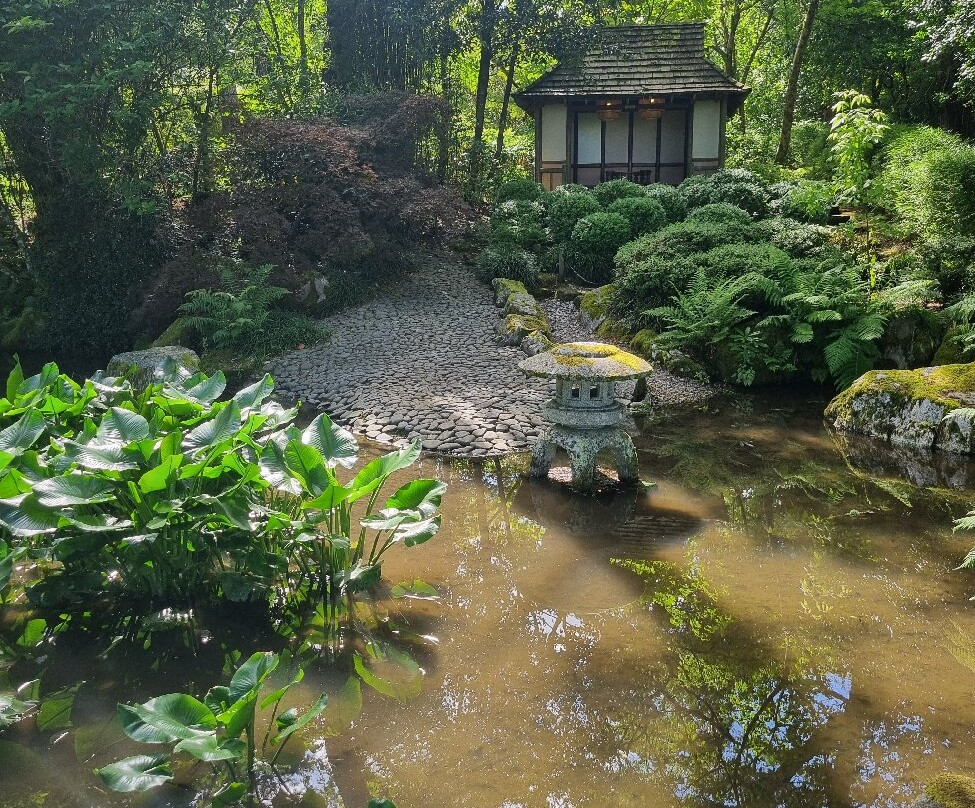 Pinetum Gardens主图