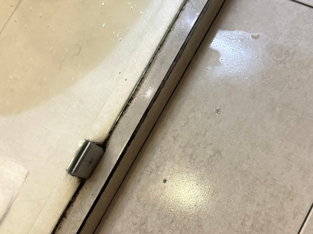 萨尔瓦多萨巴尼洛海滩酒店主图