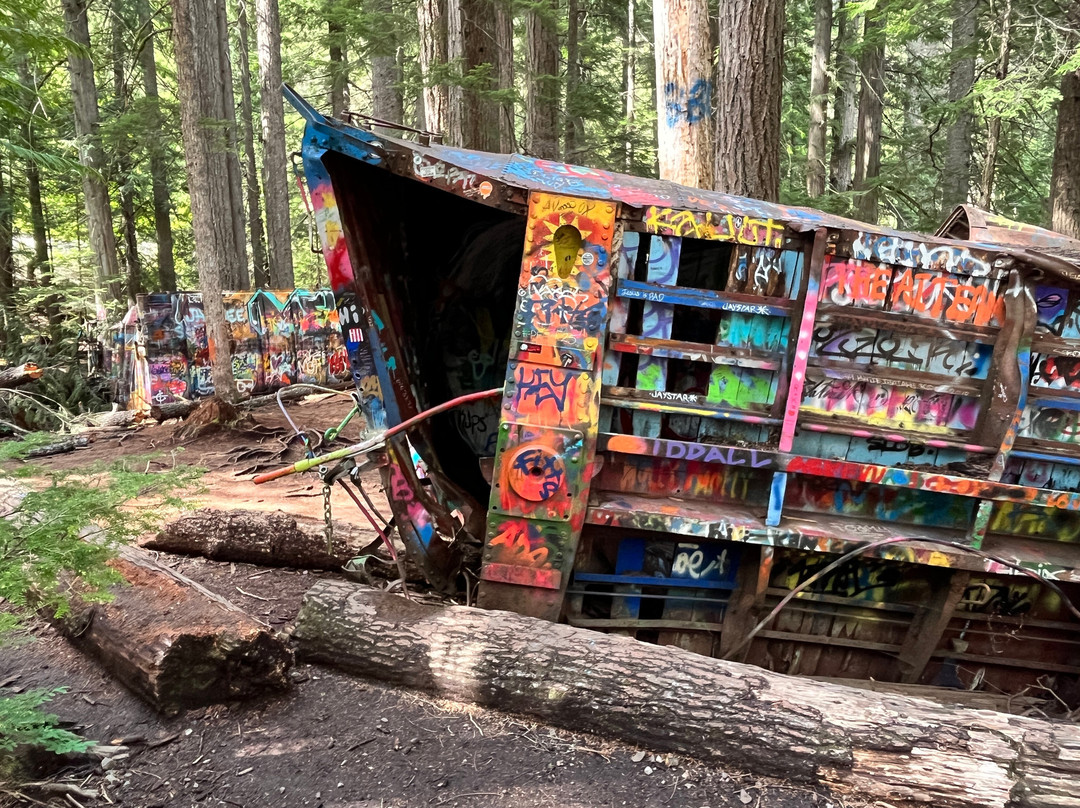 The Whistler Train Wreck Trail-惠斯勒必去景点