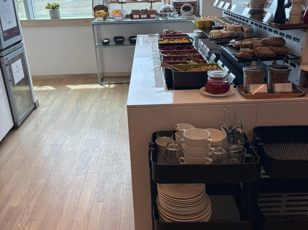 Plaza Premium Lounge (Non-Schengen Area, Departures, Mezzanine Floor, Terminal 2B)-布达佩斯必去景点