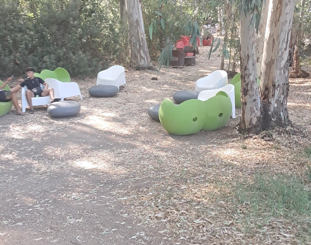 西巴里绿色度假村主图