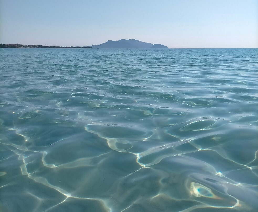 Spiaggia Pittulongu - La Playa-奥尔比亚必去景点