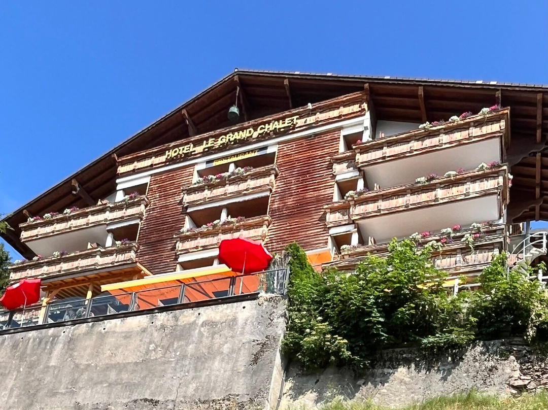 小木屋大酒店主图