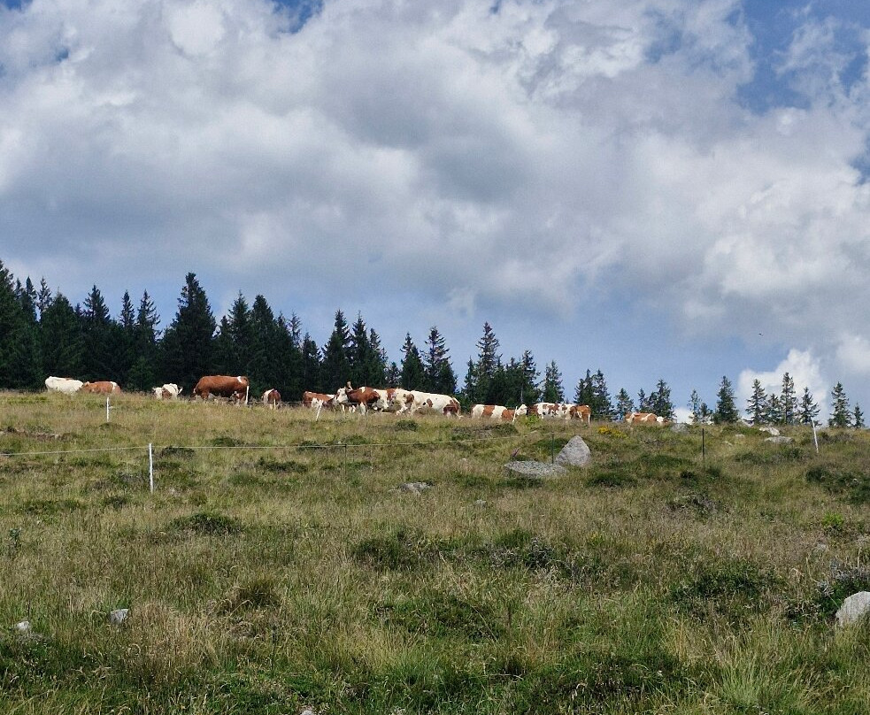 Lac de Gérardmer-热拉尔德梅必去景点