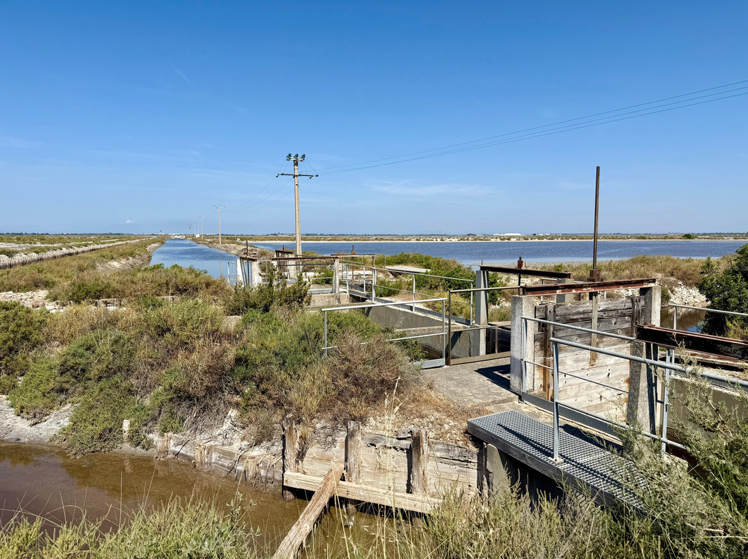 Salin d'Aigues-Mortes-艾格莫尔特必去景点