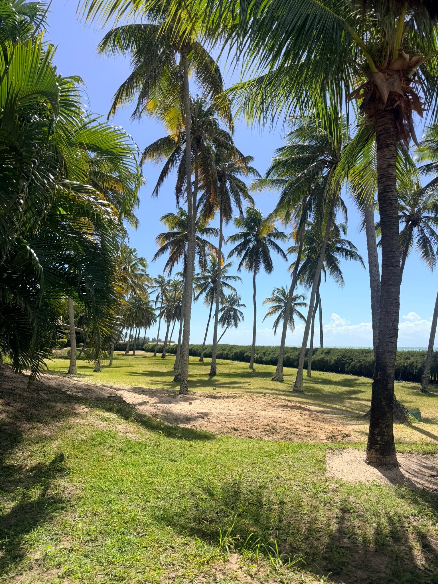 西里帕拉索酒店-旅行者