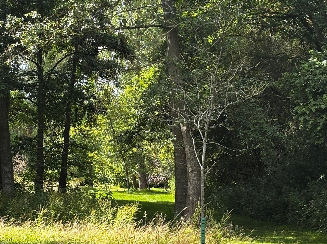 The Gibberd Garden-哈洛必去景点
