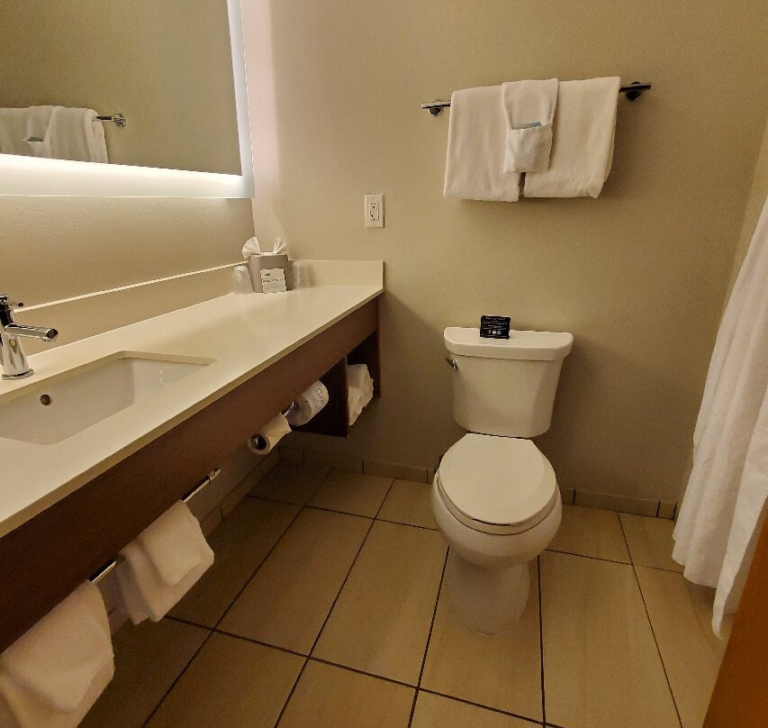 Holiday Inn Express 豪（斯特吉斯，MI）主图